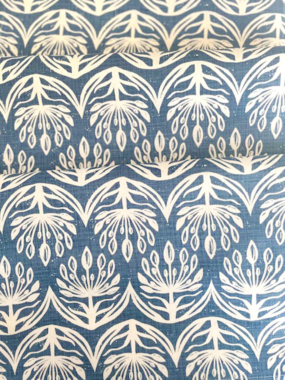 Z. Agapanthus Sky Z. Agapanthus Sky